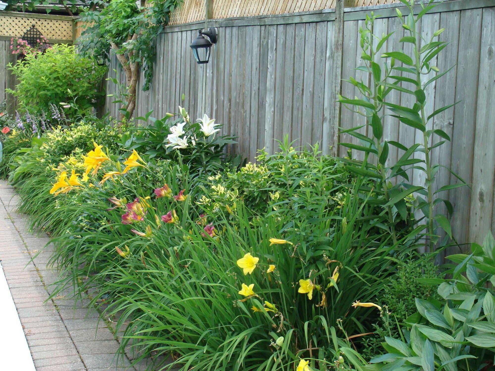 Bed and Breakfast Robinsong Thorold Exteriér fotografie